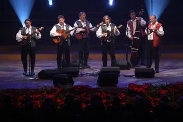 Prim tamburica -  najmanji tamburaški instrument