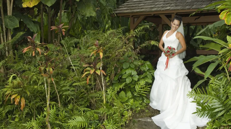 Žene se 'udaju' za drveće i, iako zvuči čudno, to je zapravo sjajno
