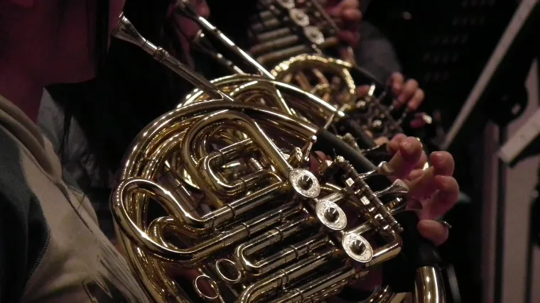 Rog instrument - instrument prapovijesnog doba