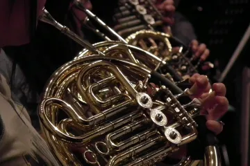 Rog instrument - instrument prapovijesnog doba