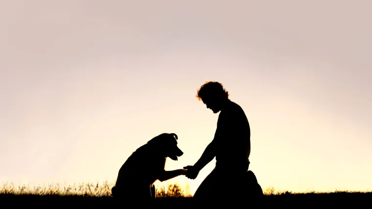 Vlasnik ga mučio glađu pa je uvjetno osuđen: Max je prona&scaron;ao novi dom i vi&scaron;e nikada neće biti gladan