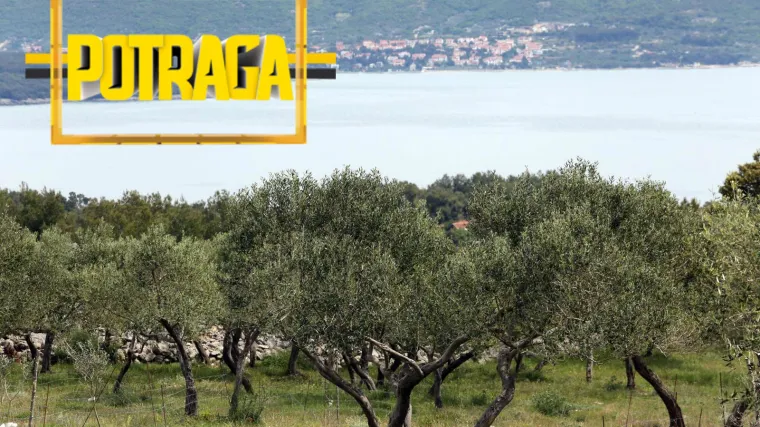 'U 21. stoljeću i dalje moraju dovoziti vodu za zalijevanje maslina': umirovljenički par s Krka u raljama birokracije