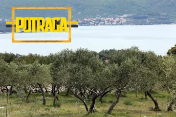 'U 21. stoljeću i dalje moraju dovoziti vodu za zalijevanje maslina': umirovljenički par s Krka u raljama birokracije