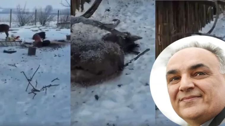 Antun Pono&scaron; je uspio! Kupuje magarce koji su bili na rubu smrti, a uvjeti su vi&scaron;e nego idealni