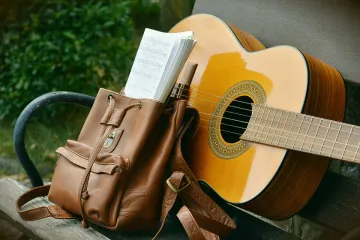 Znate li koji su instrumenti žičani instrumenti?