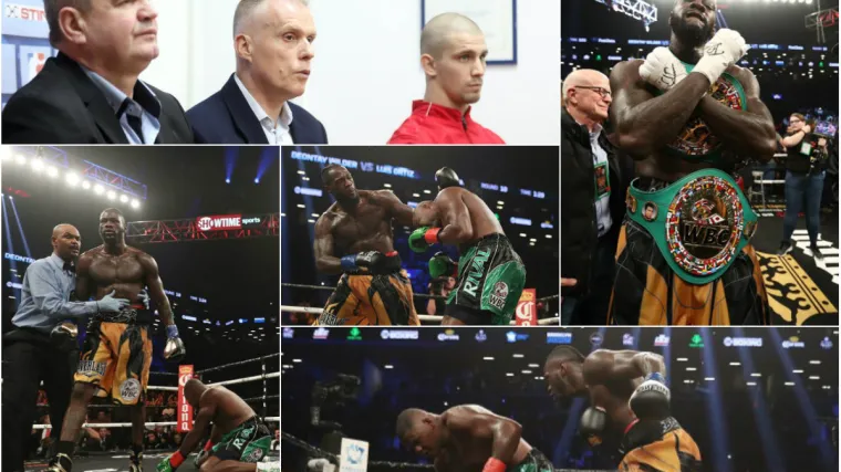 'Wilder je pravi &scaron;ampion, zvijer, on se u ringu bori na život i smrt. No, jedna mu stvar nedostaje...'