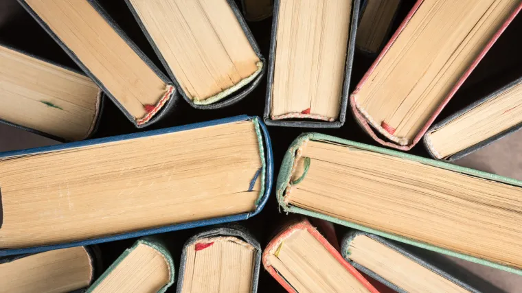 Vrste romana - znate li koje sve vrste romana postoje