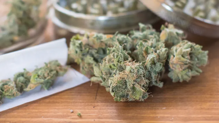 Zadarska policija uhitila dvojicu dilera: kod jednog prona&scaron;li oko pola kile marihuane i 'lude gljive'