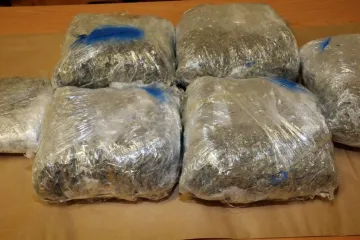 Imali su marihuanu, heroin, halucinogene gljive...