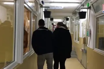 Pogledajte kako izgleda sklonište za pse u Beču