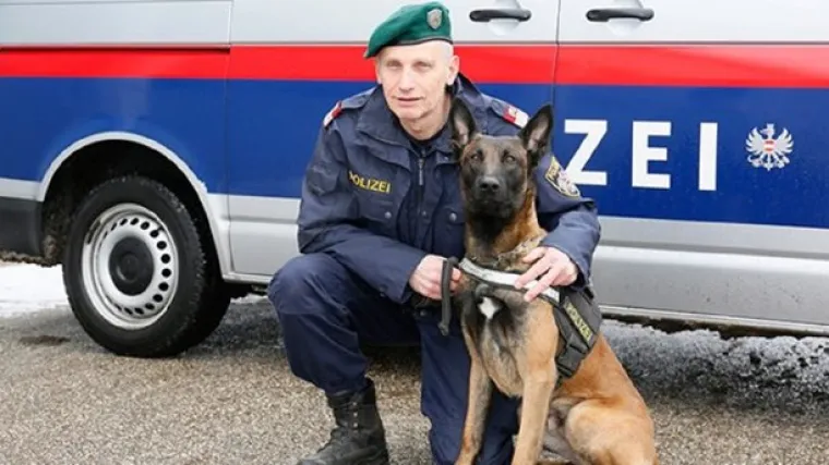 Junak na četiri noge: 'Jack od Moslavine' u Austriji uhvatio provalnika