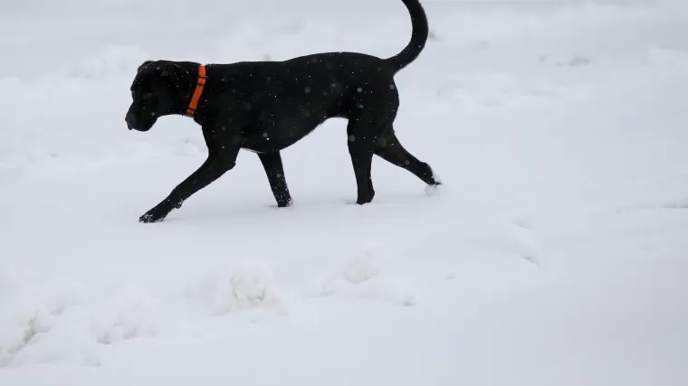 Preminuo poku&scaron;avajući spasiti psa iz zaleđenog jezera