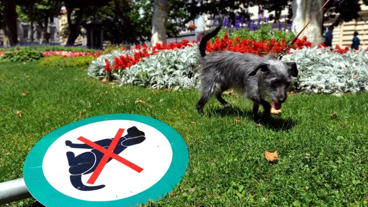 Karlovačke ulice kao 'minsko polje': nakon topljenja snijega na vidjelo iza&scaron;la nekultura građana