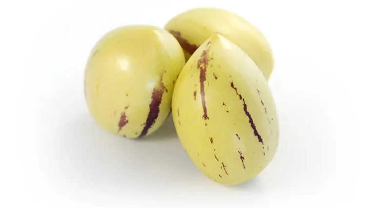 Pepino voće - južnoameričko voće ljekovitih svojstava