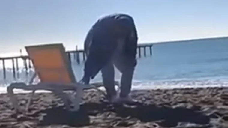 Nije mogao izdržati ignoriranje izazvano jednim videom