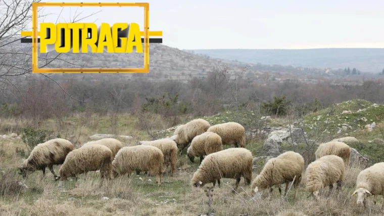 PU ličko-senjska: 'Izjave gradonačelnika Gospića nisu istinite'