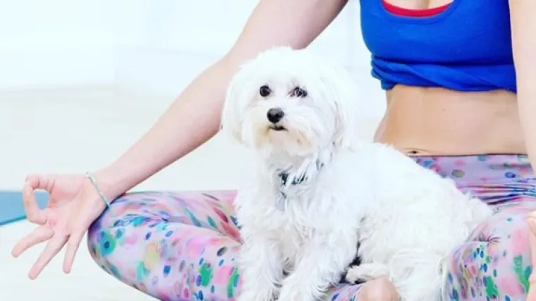 Doga joga ili Doga je novi fitness trend koje će mnoge vlasnice pasa sigurno htjeti probati