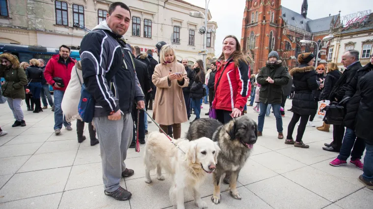Osječani na ulicama zbog trovanja životinja: 'Ovo je u rangu terorizma, za&scaron;to ni&scaron;ta ne poduzimate?!'