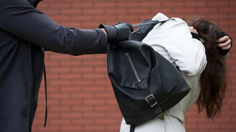 'Netko mi je danas napa sestru, udaria je &scaron;akon i probia mi pasa nogon'