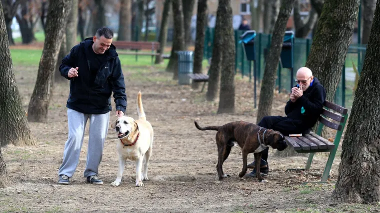 Zavr&scaron;ena horor priča o trovačima u Osijeku? Policija obavila vje&scaron;tačenje, utvrđeno da se radi o kuhinjskoj soli
