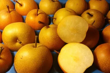 Kako sušiti kruške - prijedlog za jednostavnu pripremu