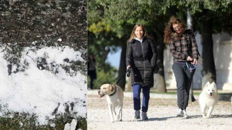 Supstance na zadarskom području potvrđene kao nervni otrov! Policija upozorava građane, u opasnosti i djeca