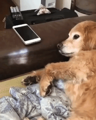 'Pusti mobitel, ja sam ti najbolji prijatelj'