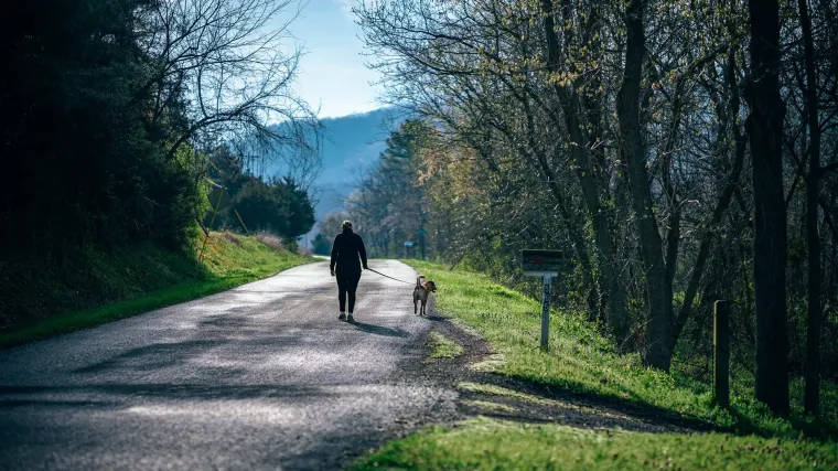Pas azijat - neustrašivi čuvar