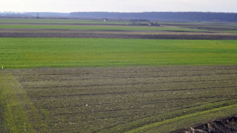 Prirodni prirast na istoku Slavonije već 19 godina je negativan