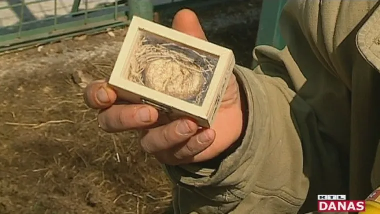 Magareći izmet kao suvenir: upoznajte Splićane koji žele spasiti tovara od izumiranja