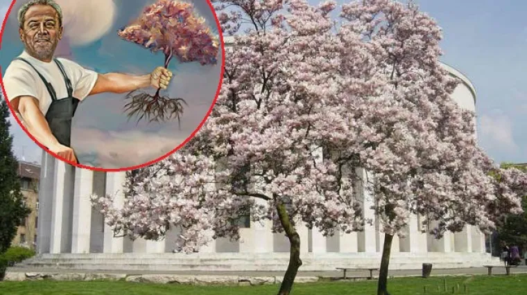 'Ukrao nam je park, Britanac, Cvjetni, Jabuku, a sad i magnoliju s Trga žrtava fa&scaron;izma'