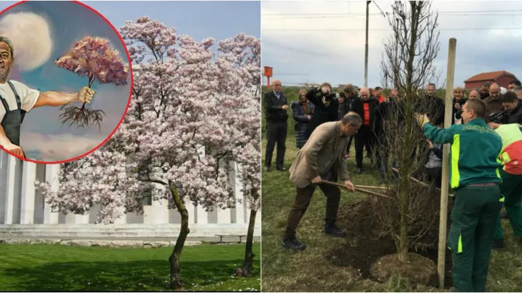 'Čupam pa sadim': hortikulturalno osvje&scaron;teni Bandić posadio prvo stablo hrasta na Branimirovoj