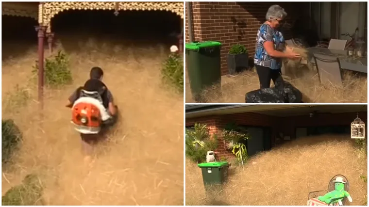 'Pomozite, zarobljeni smo! Jedva izlazimo iz kuća'