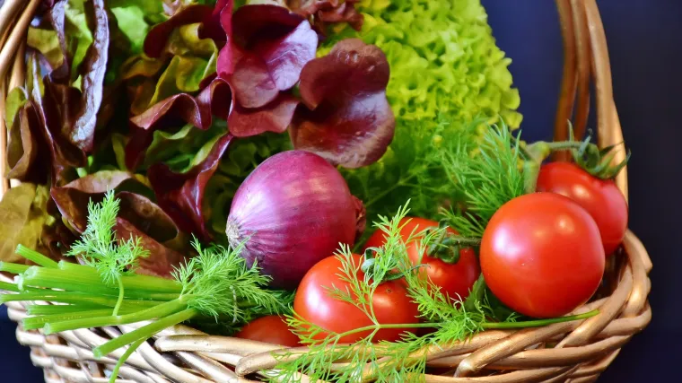 Zimski luk - otporna biljka kućnih vrtova