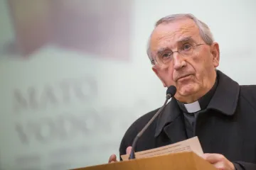 Nadbiskup Puljić o Istanbulskoj: 'Nije došlo do nikakvog zaokreta Crkve, Konvencija je loša za državu'