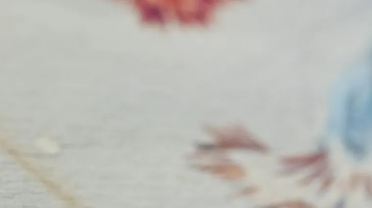 Slikar prije nacističkog vođe: Hitlerov portret ljubavnice na dražbi