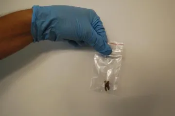 Konačno je otkriven njen identitet