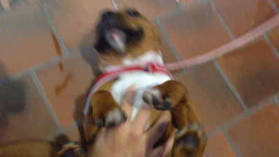 Kad se izvale na leđa, ne&scaron;to vam drugo poku&scaron;avaju reći