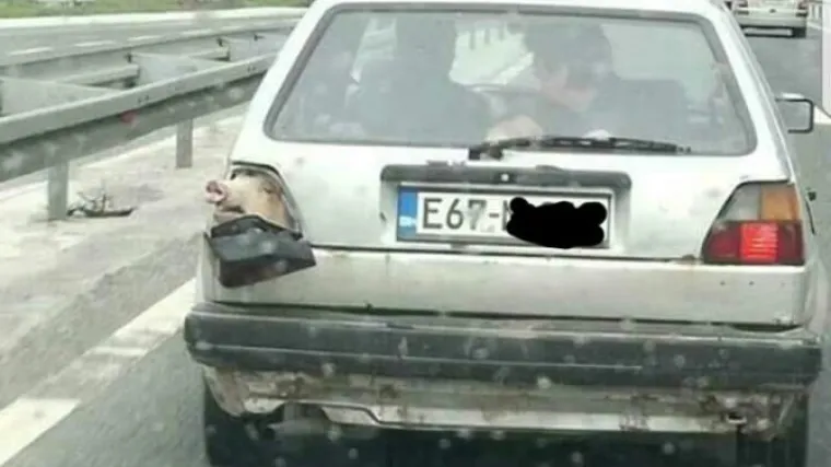 'Bosanski žmigavac': prase provirilo kroz rupu na autu i nasmijalo cijelu regiju