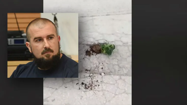 Karlovčanin sadi cvijeće u rupama na dotrajalim cestama, kada već grad ne radi ni&scaron;ta po tom pitanju