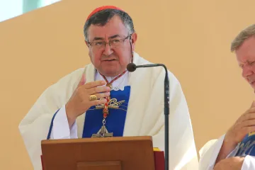 'Ne prihvaćamo Istanbulsku konvenciju, to su zastranjenja i hereze'