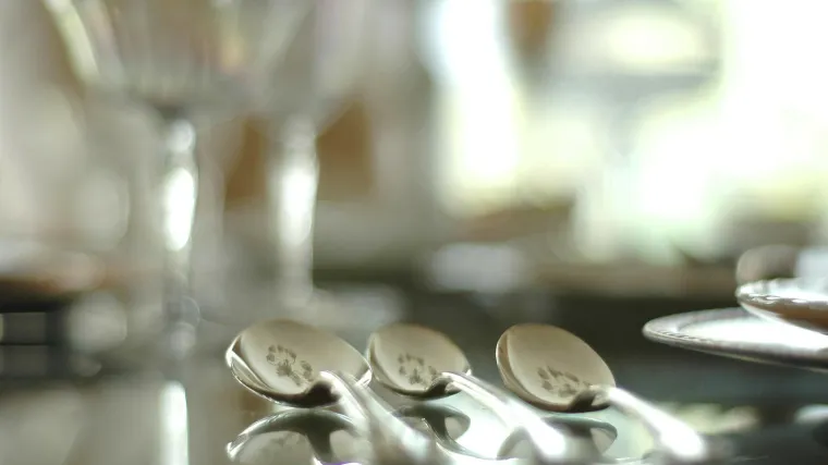 Kako očistiti srebro kad pocrni - očistite srebro do savršenstva