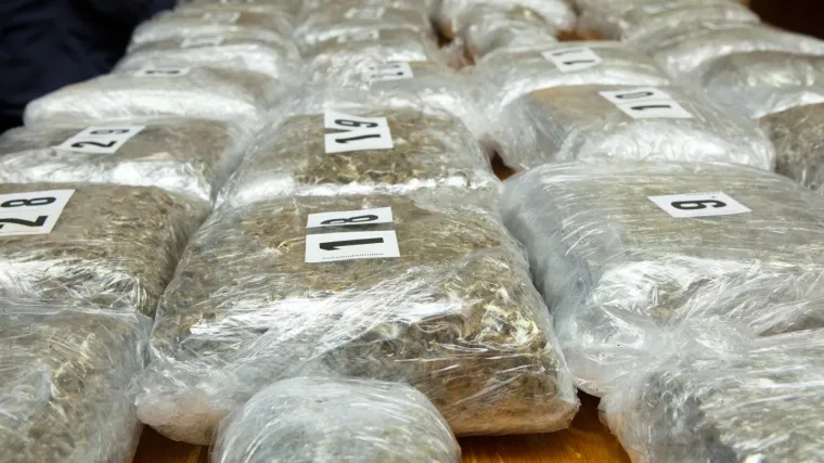 Najveća zaplijena marihuane u Osječko-baranjskoj županiji: na Batini pao 66-godi&scaron;nji Mađar