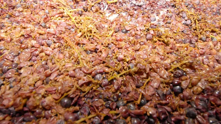 Od onog &scaron;to mnogii bacaju, oni će proizvesti tri različita proizvoda