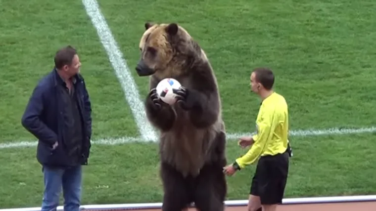 Medvjed na otvaranju utakmice predao sucu loptu?!