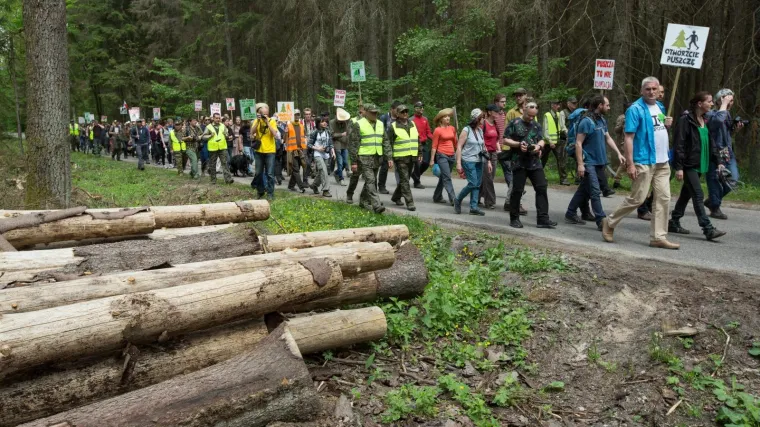 Najvi&scaron;i sud EU (napokon) presudio: Poljska prekr&scaron;ila europske zakone sječom drevne Belove&scaron;ke &scaron;ume
