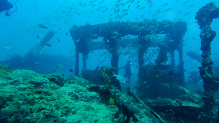 Ako pogledamo par milijuna godina unazad, stvari postaju vrlo složene
