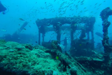 Ako pogledamo par milijuna godina unazad, stvari postaju vrlo složene