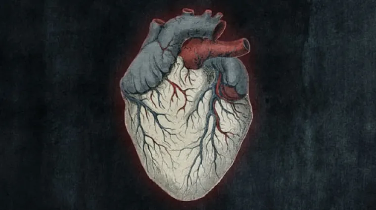 Alice In Chains novo veliko ime na INmusicu