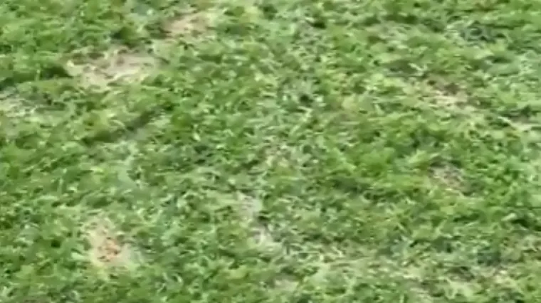 'Nepristojno je da igramo na takvom stadionu'